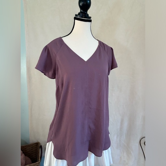 Chiffon V-neck Blouse - Picture 2 of 6